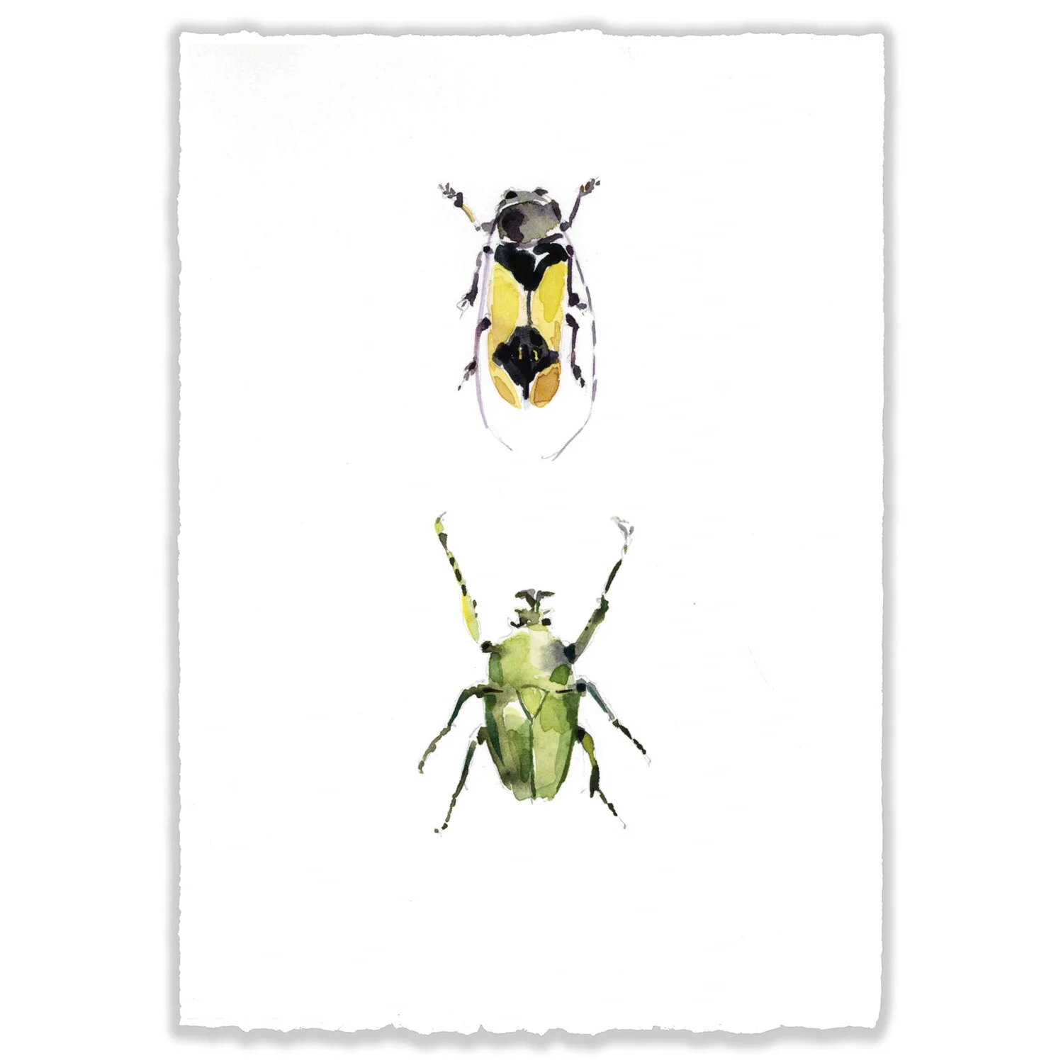 Beetle Pair 2 - 5x7" Original 