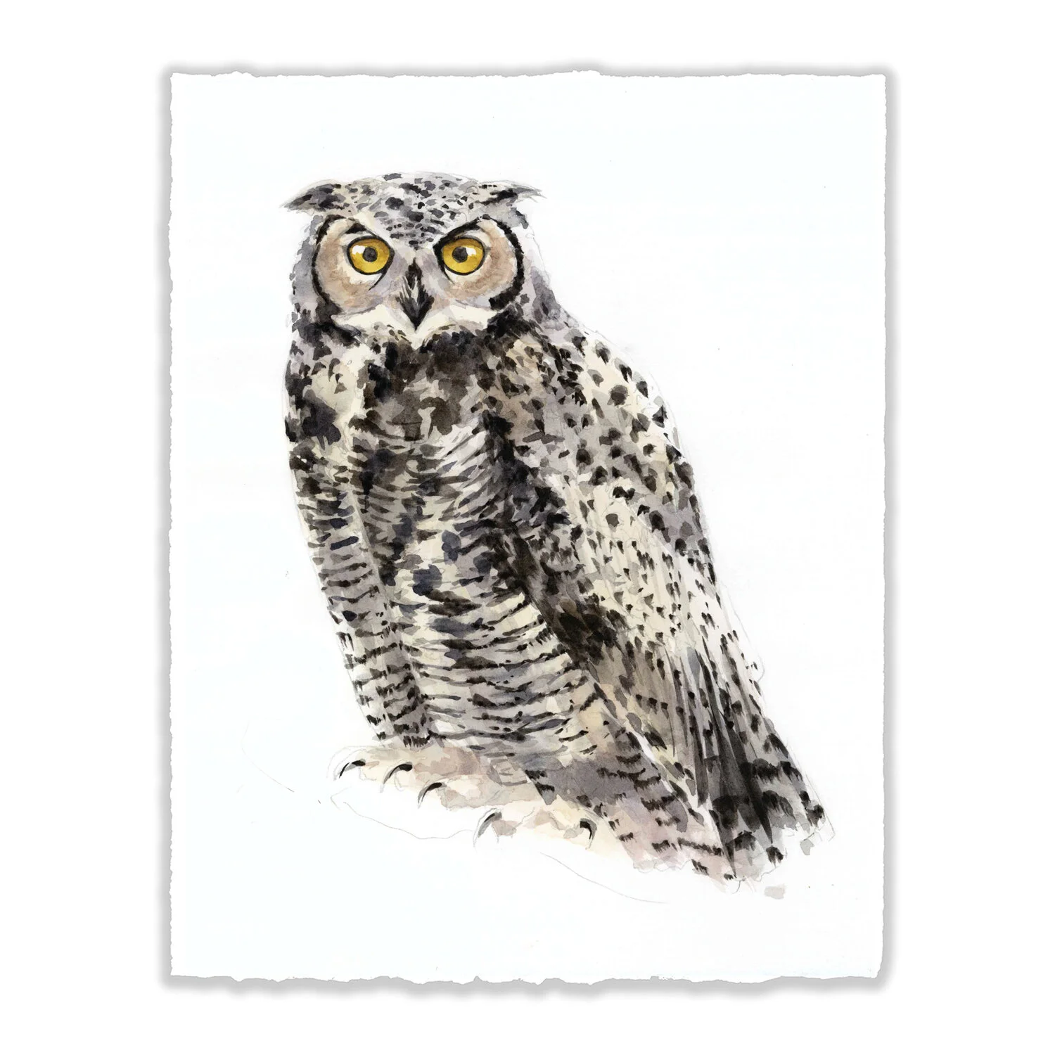Great Horned Owl - 8x10" Original