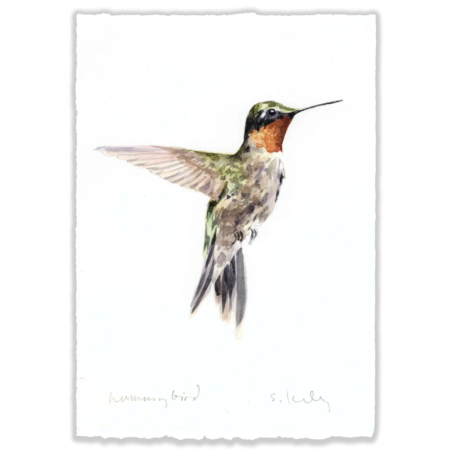 Hummingbird - 5x7" Original 
