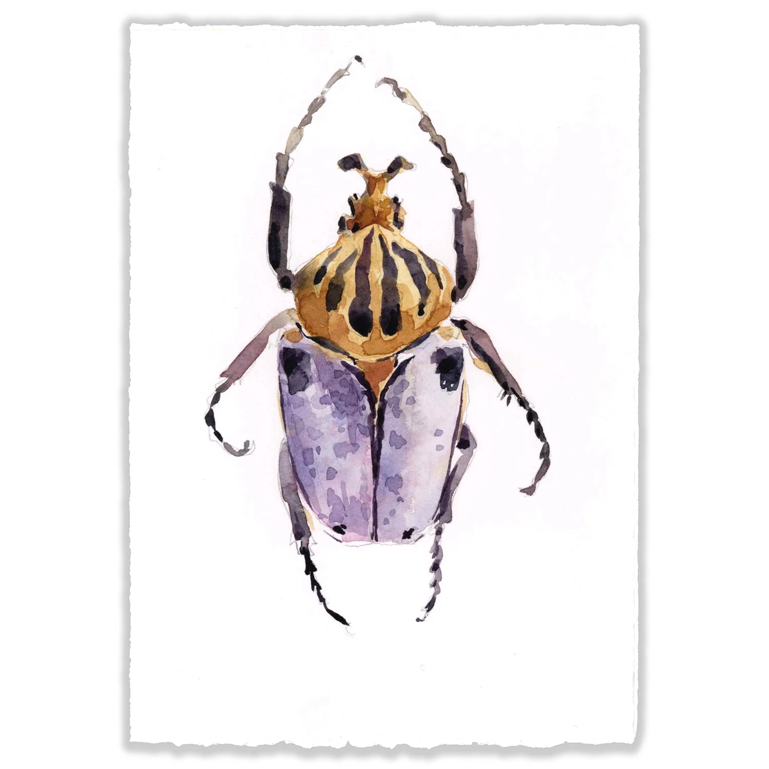 Purple Beetle, 5x7" Original 
