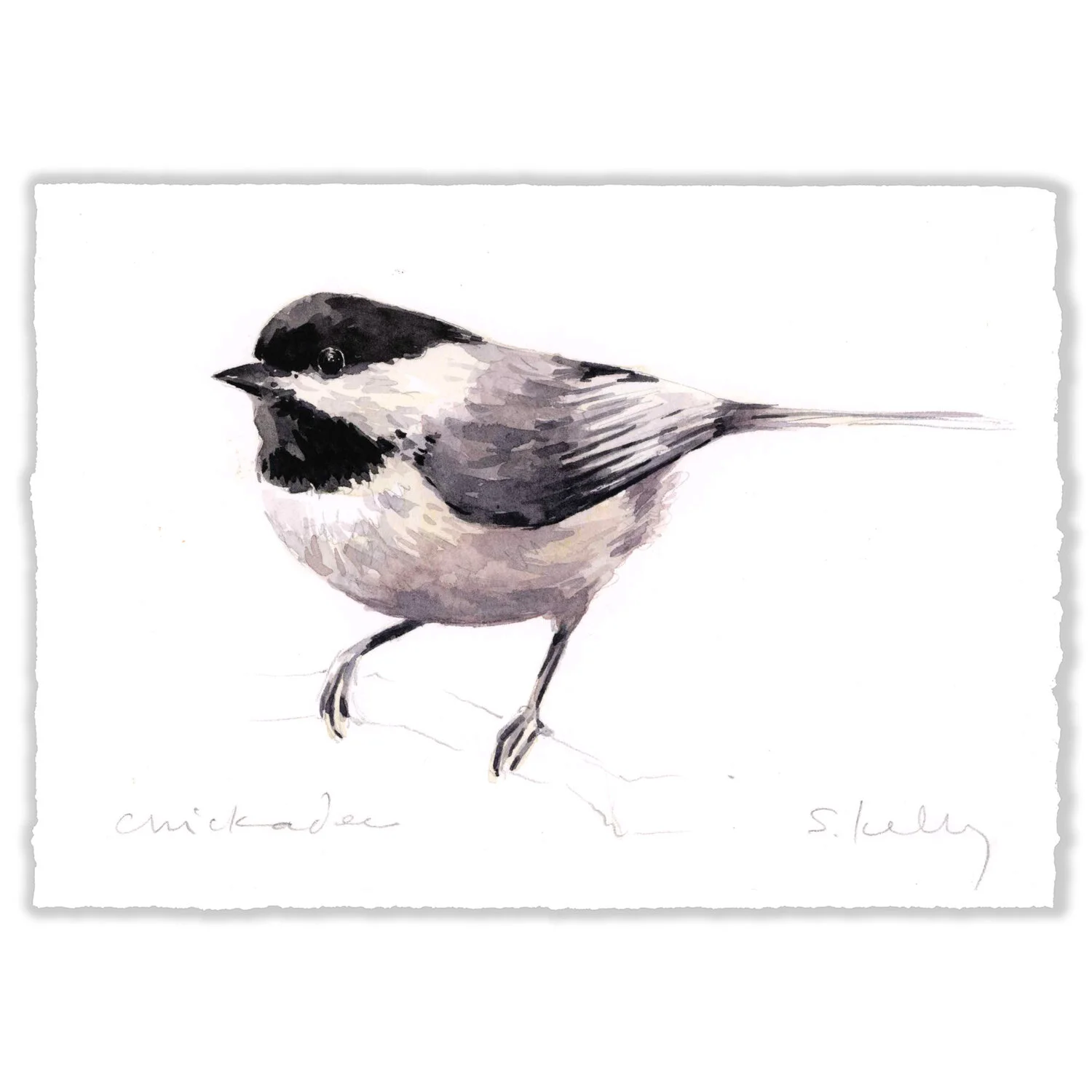 Chickadee - 5x7" Original 