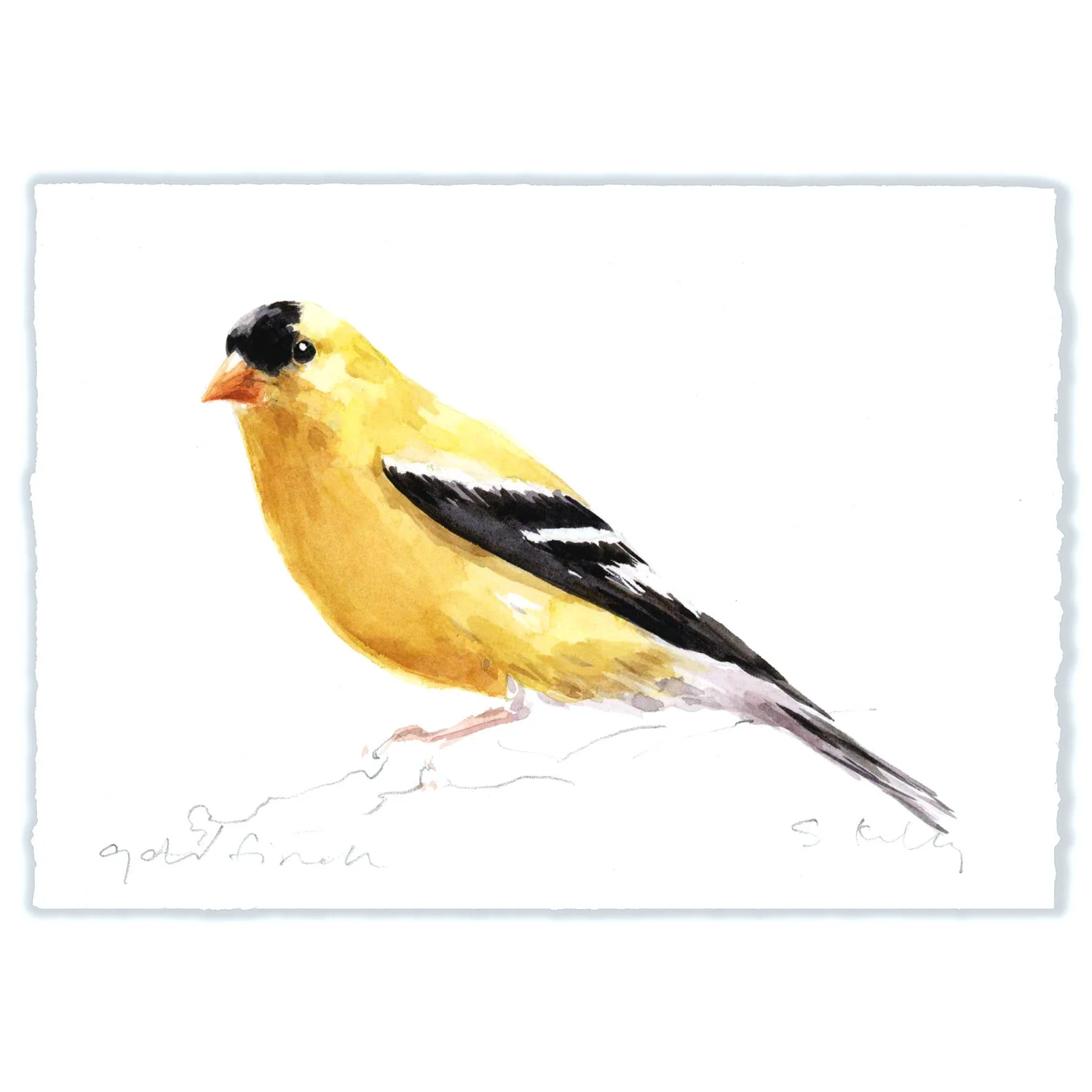 Goldfinch - 5x7" Original 