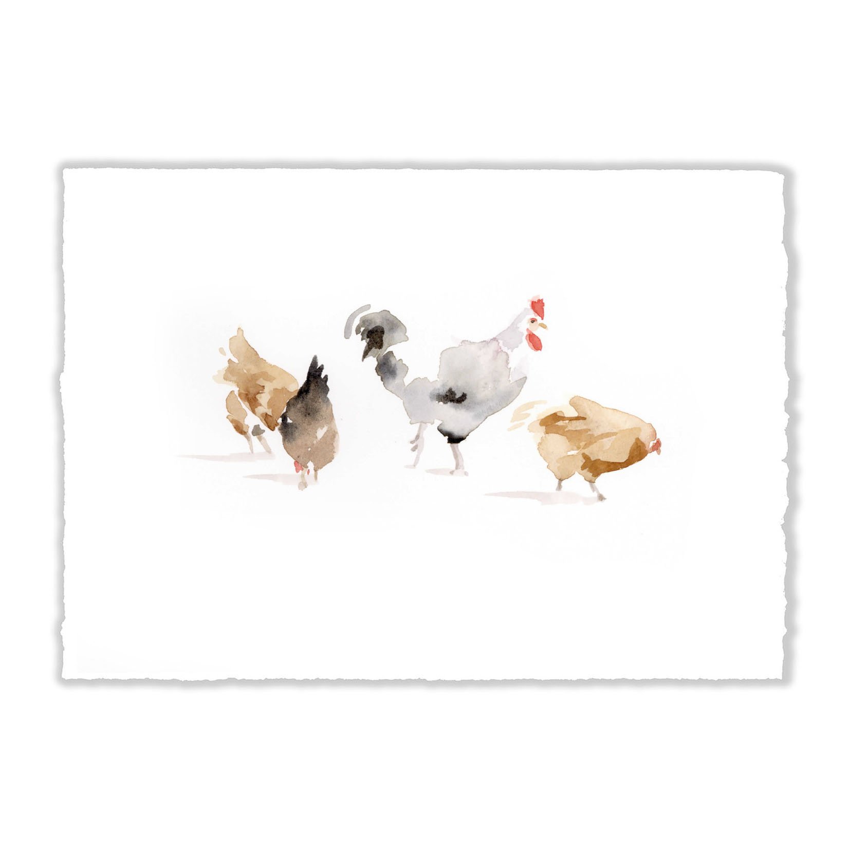 Chickens 2.jpg
