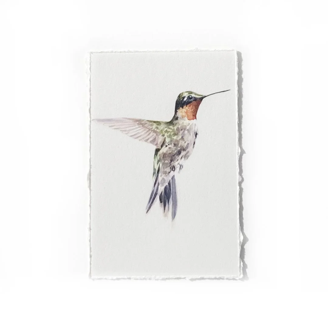 2x3" Hummingbird Print