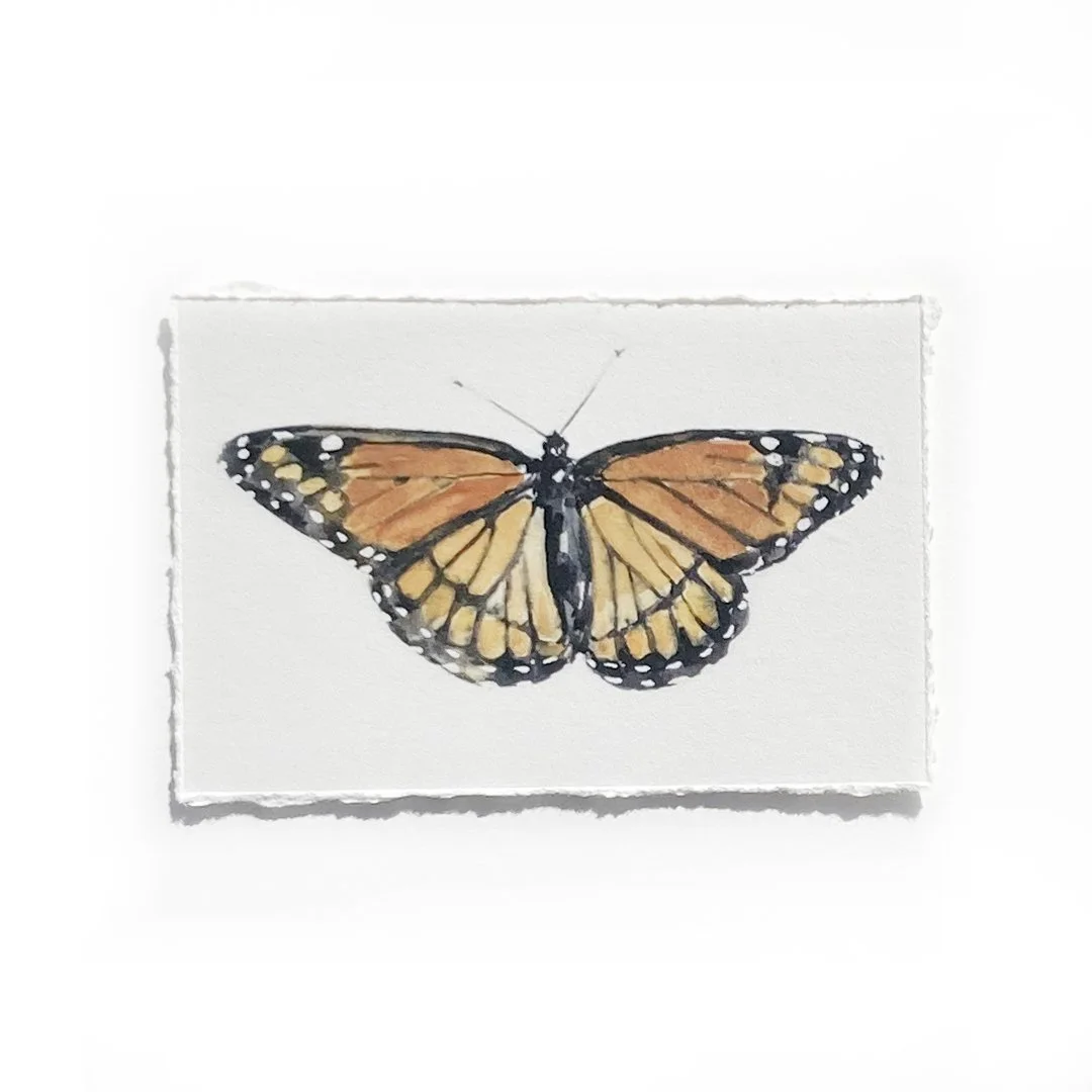 2x3" Monarch Print