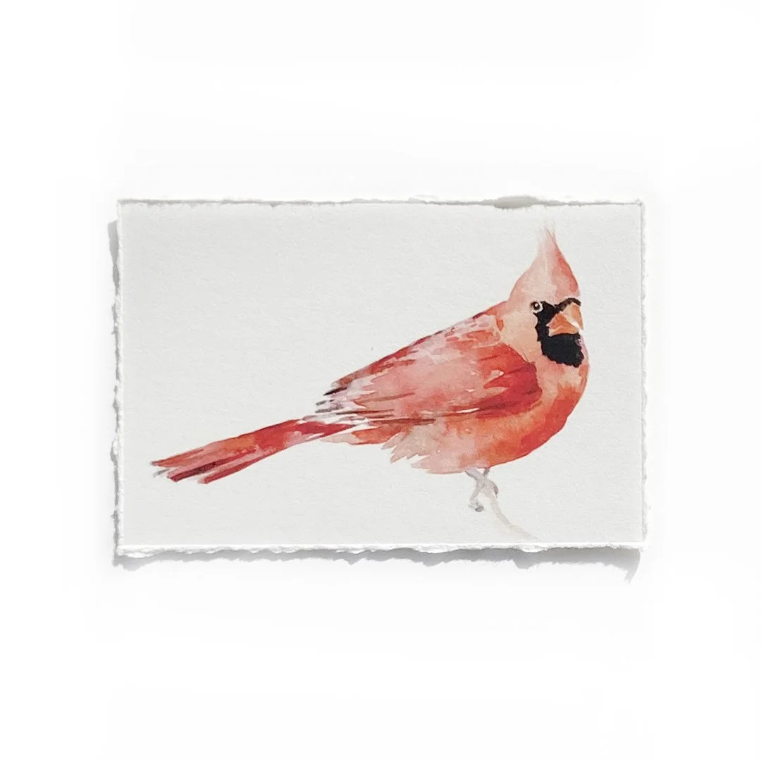 2x3" Cardinal Print