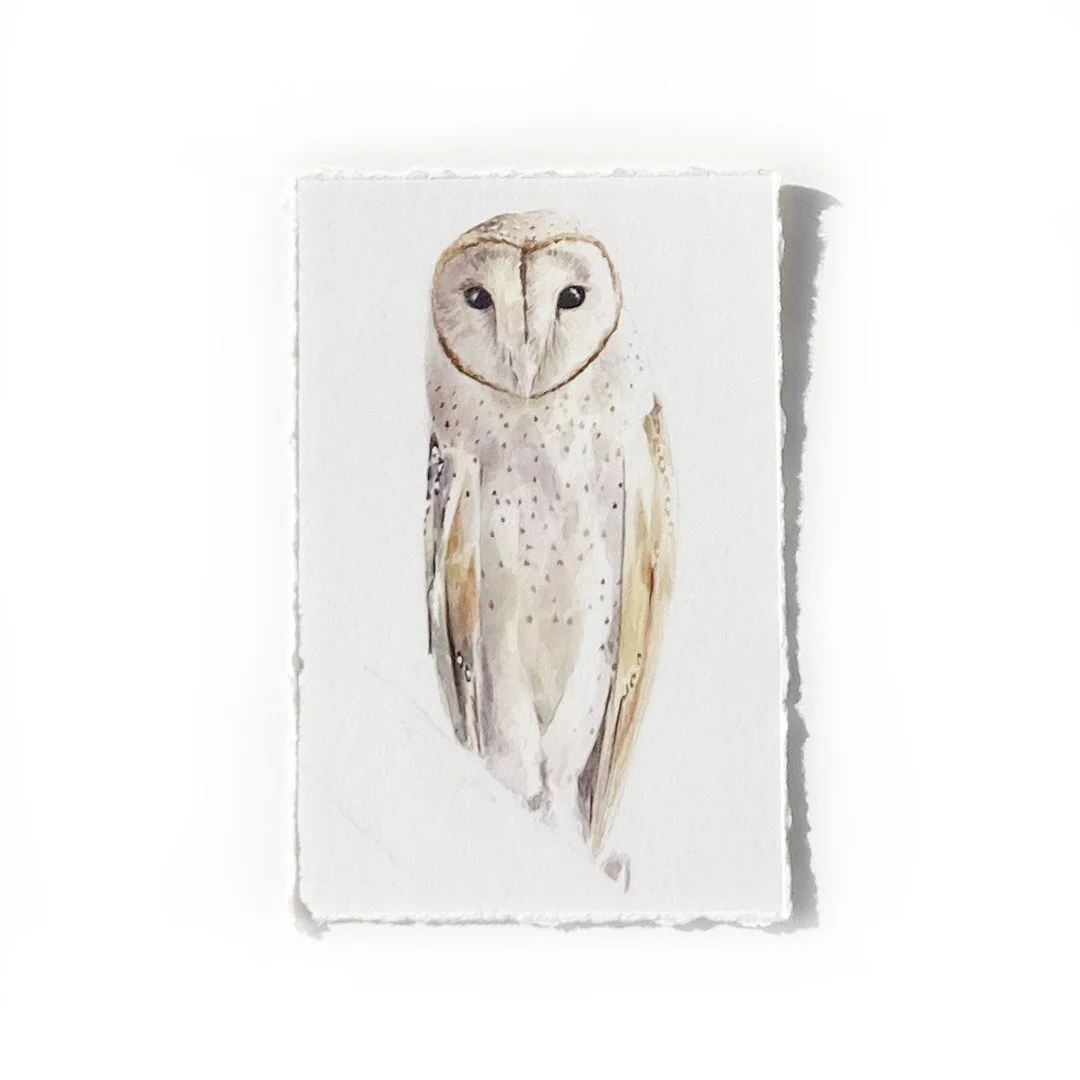 2x3" Barn Owl Print