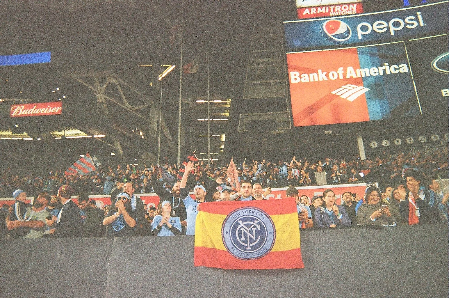21240008.jpg
