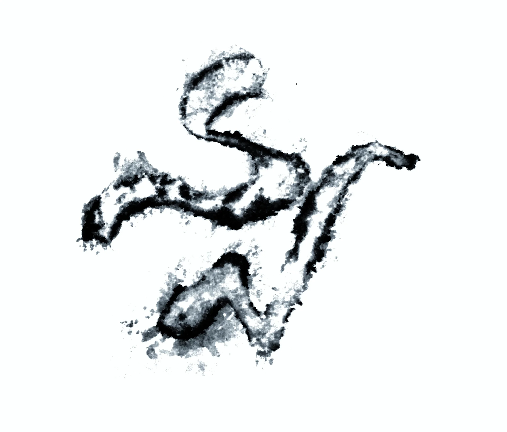 Inked - SN initials