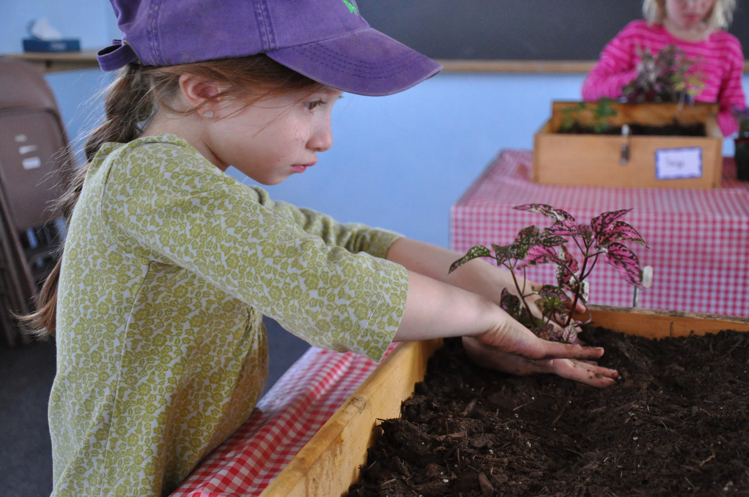 Fairy Gardener