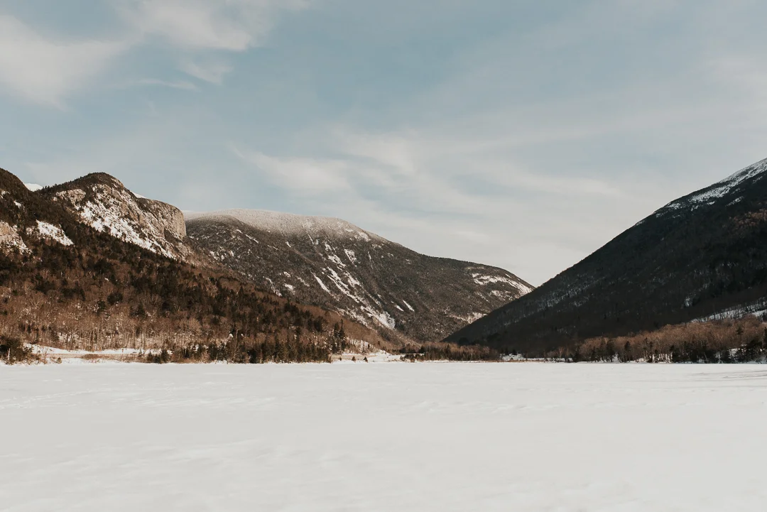 DSC_3403.jpg