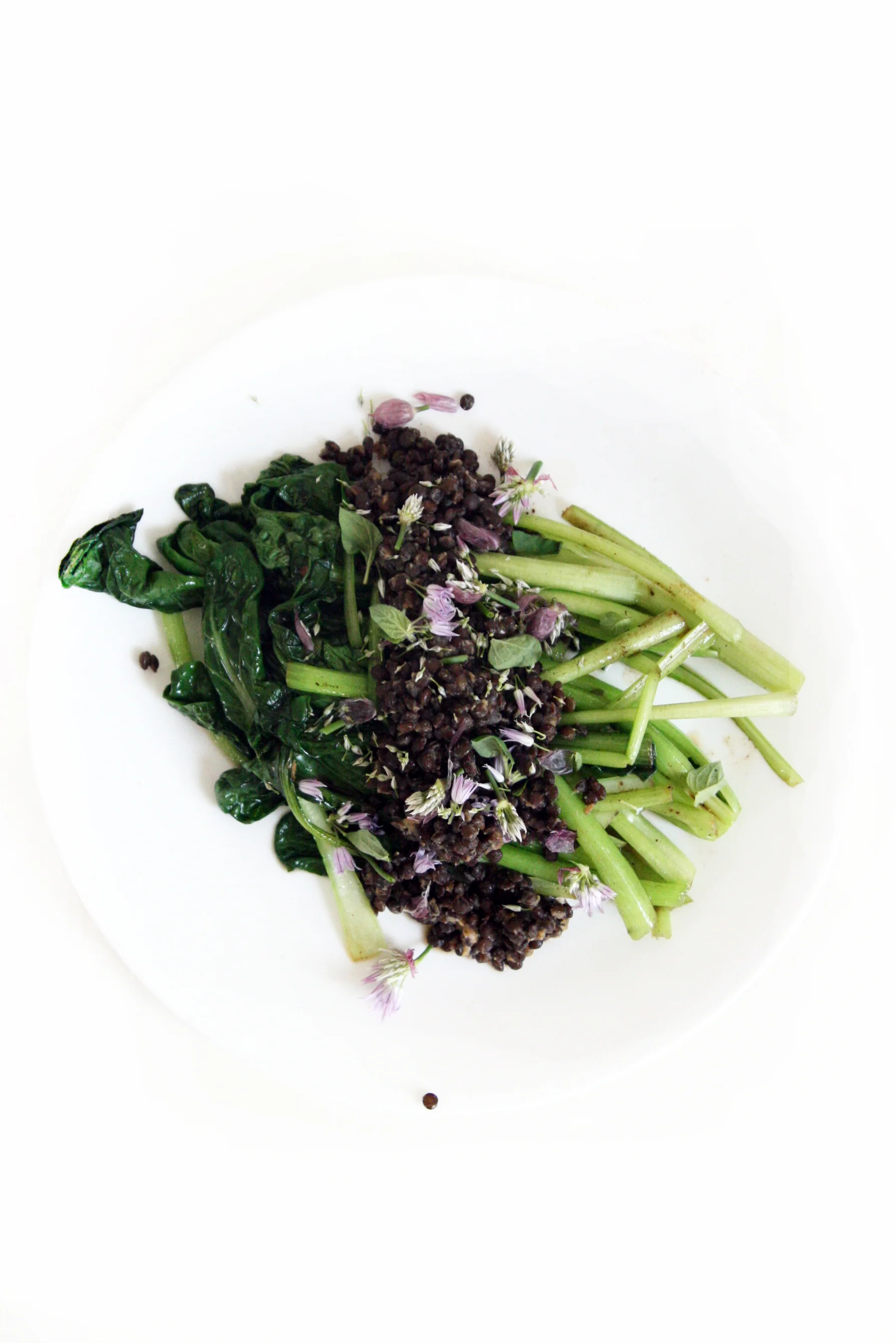 20150617_TATSOI AND LENTILS_05.jpg