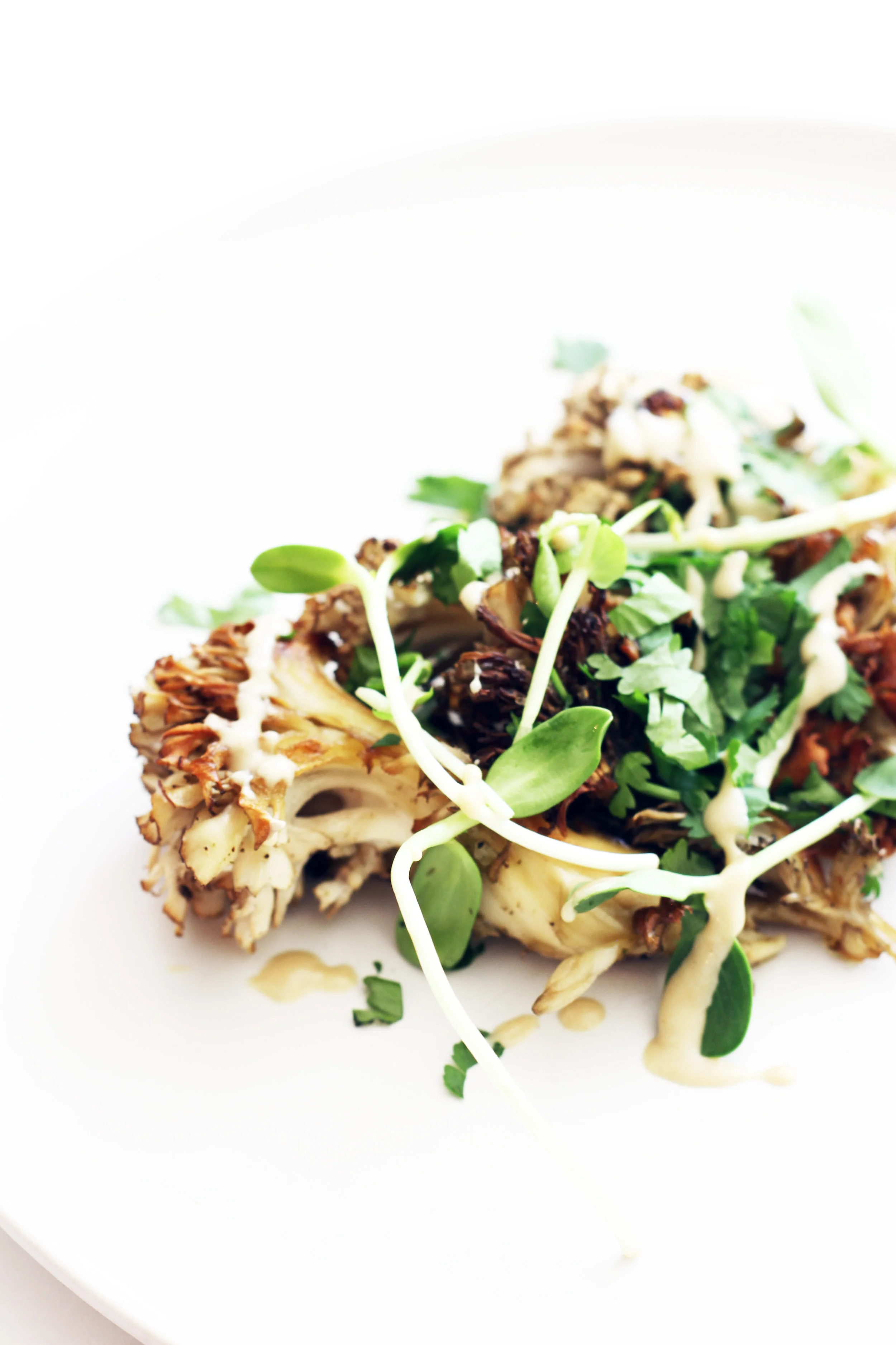 20170828_ROASTED-HEN-OF-THE-WOODS_04_WEB.jpg