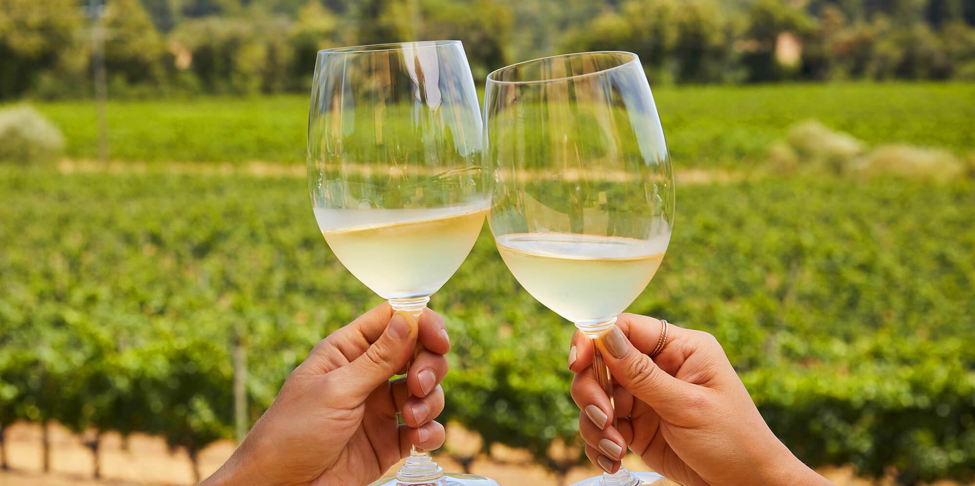July 2024 Sonoma / Alexander Valley Wine Dinner — Wine Down Bistro