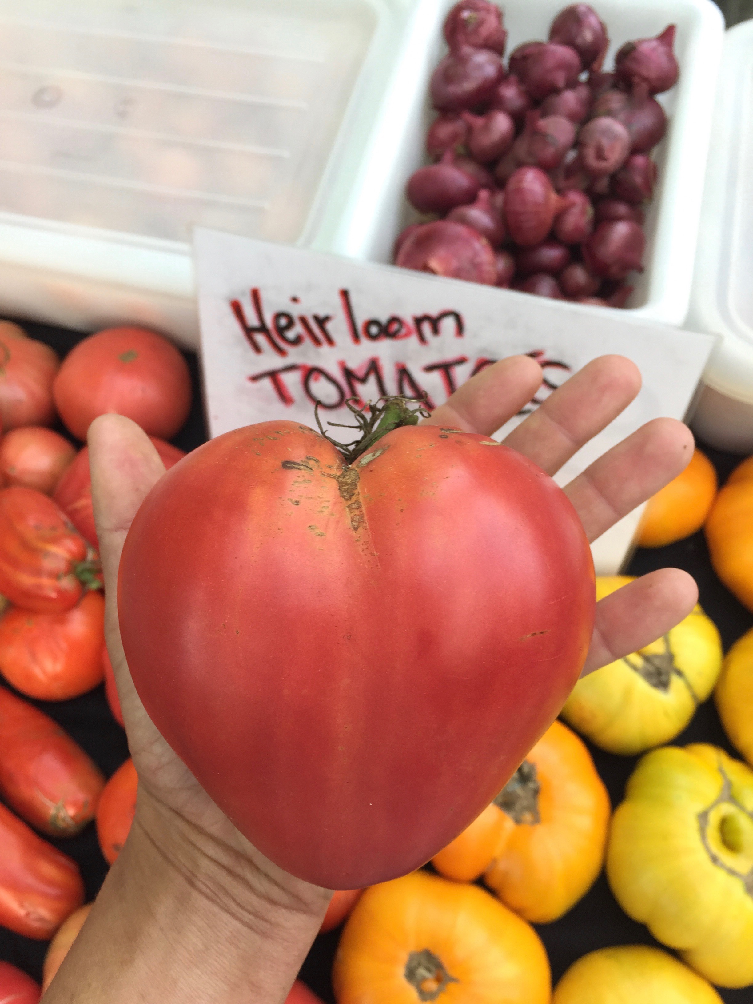 Ox Heart and Heirloom Tomatoes