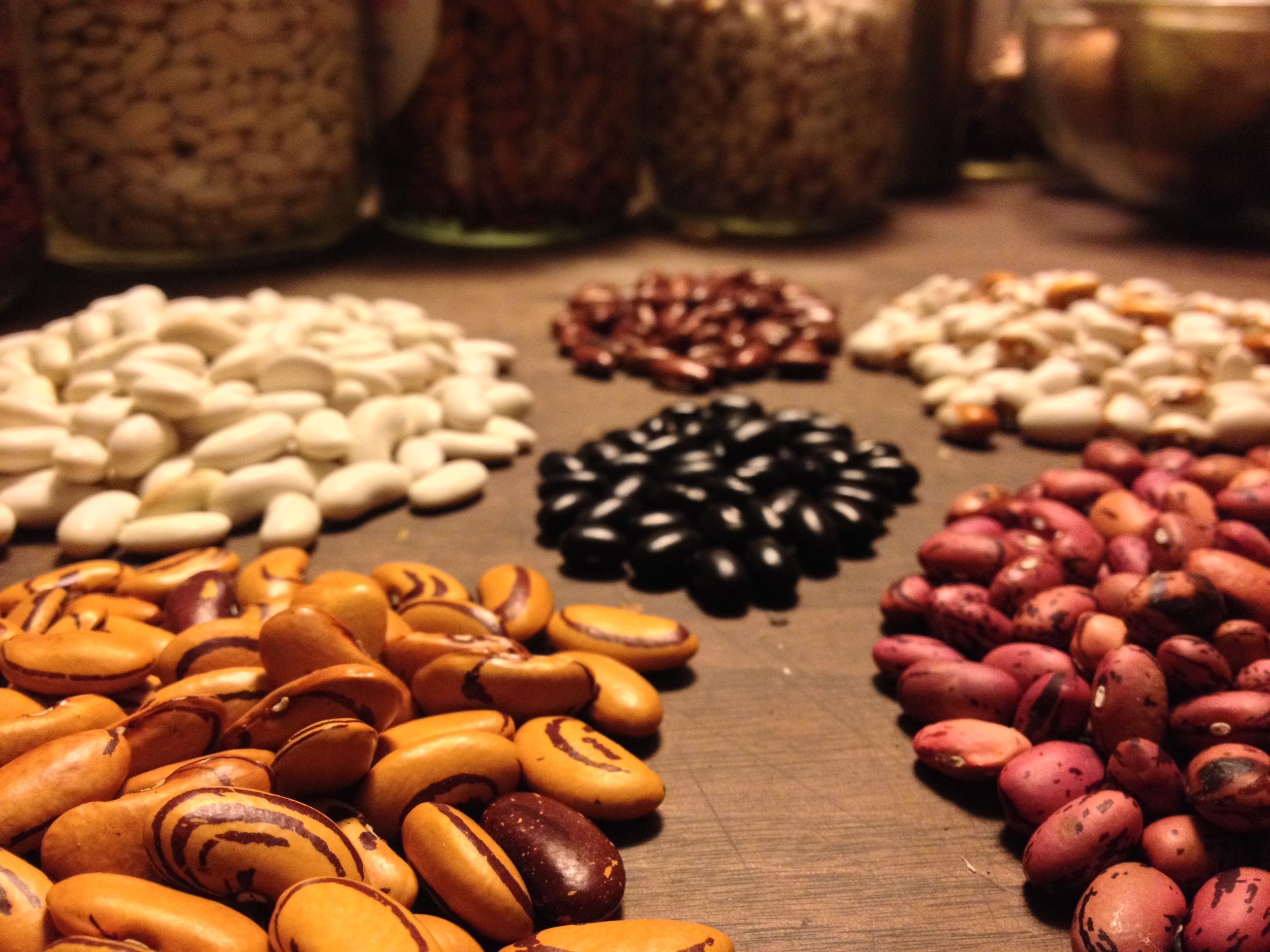 Dried Beans