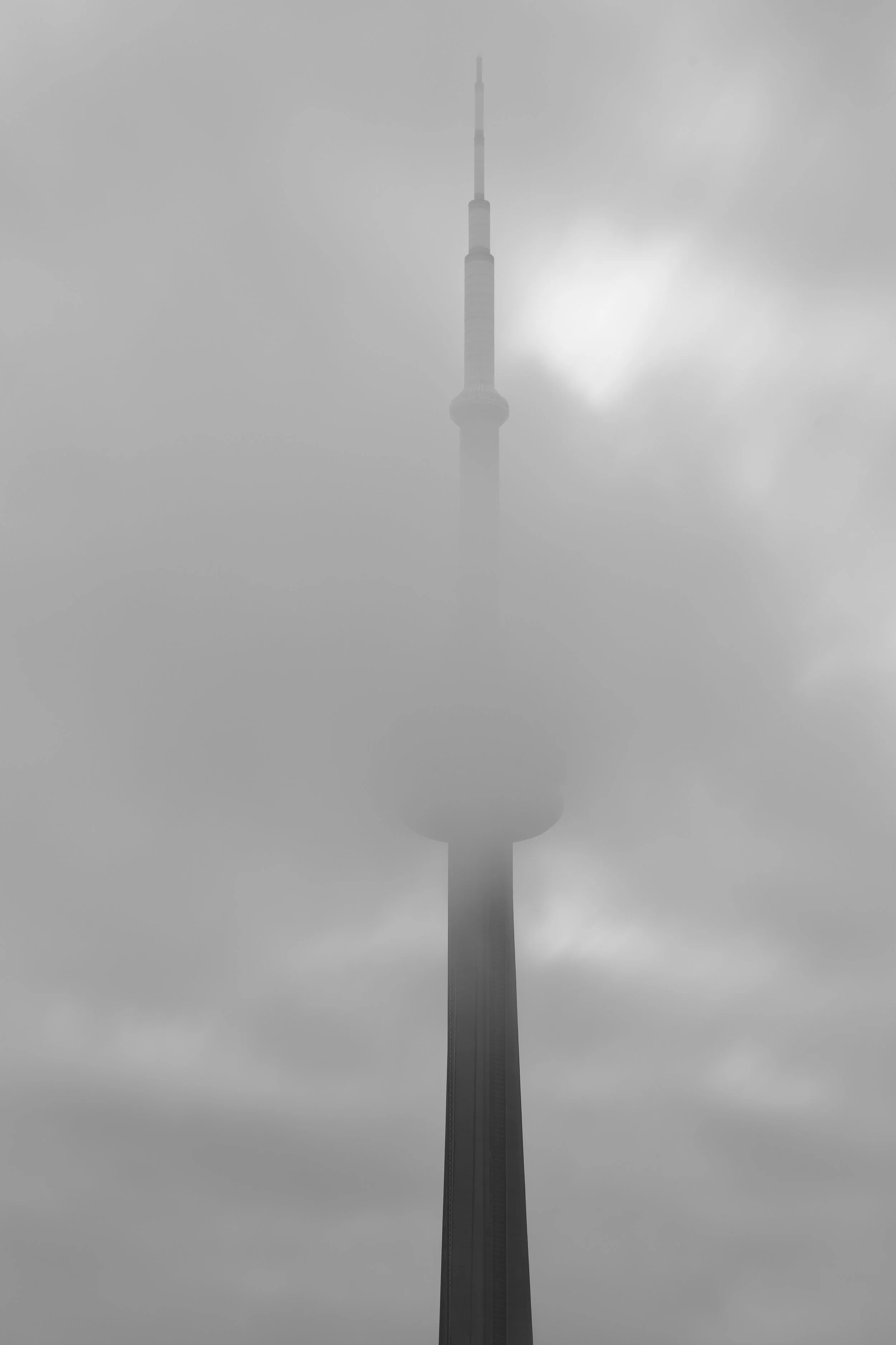 0Y3A3561.JPG