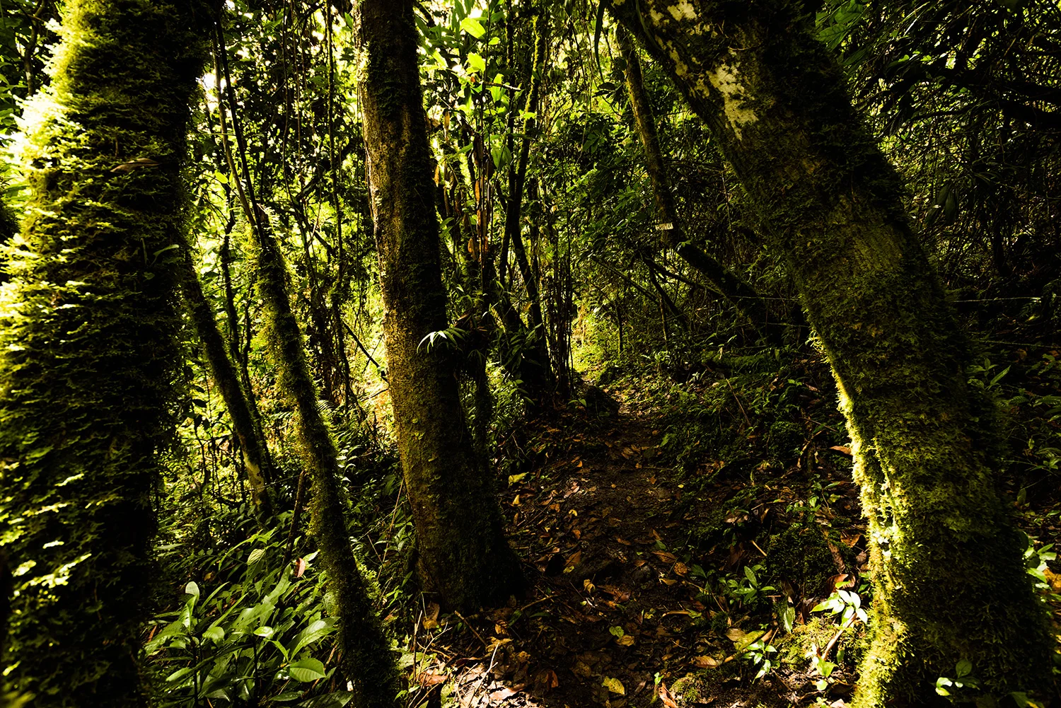 DSC_0872_1448.jpg