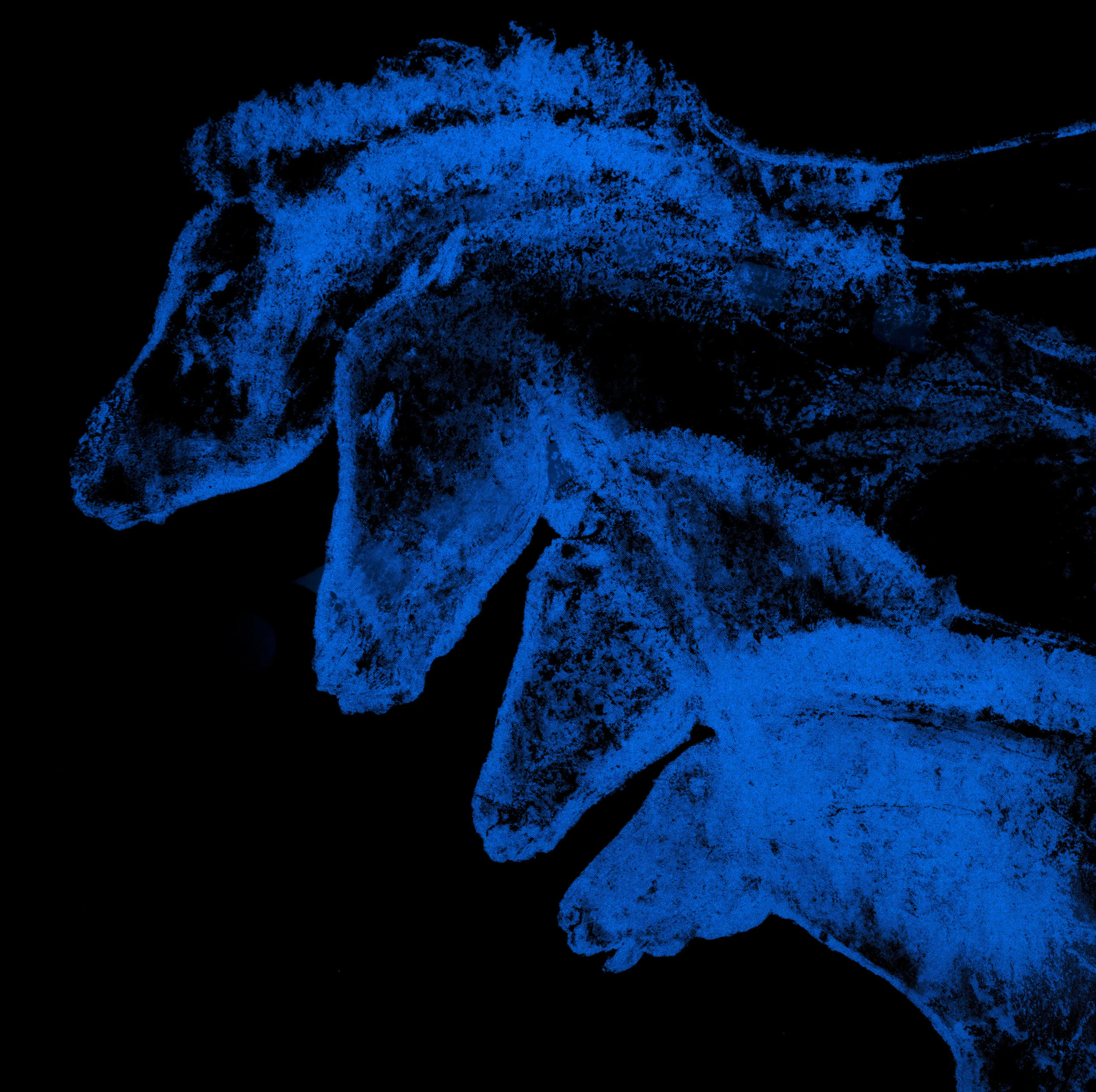 Chevaux ChauvetVision de nuit70 X 70 cm - boite altuglas et bois