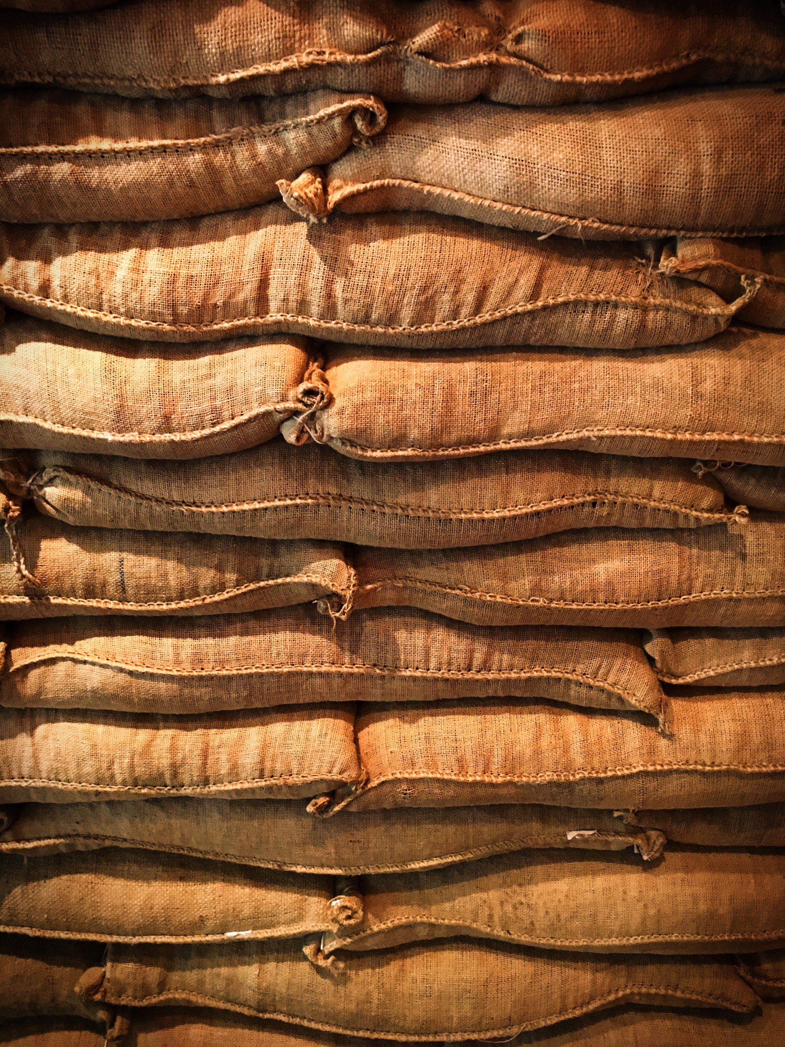 coffee beans.jpeg