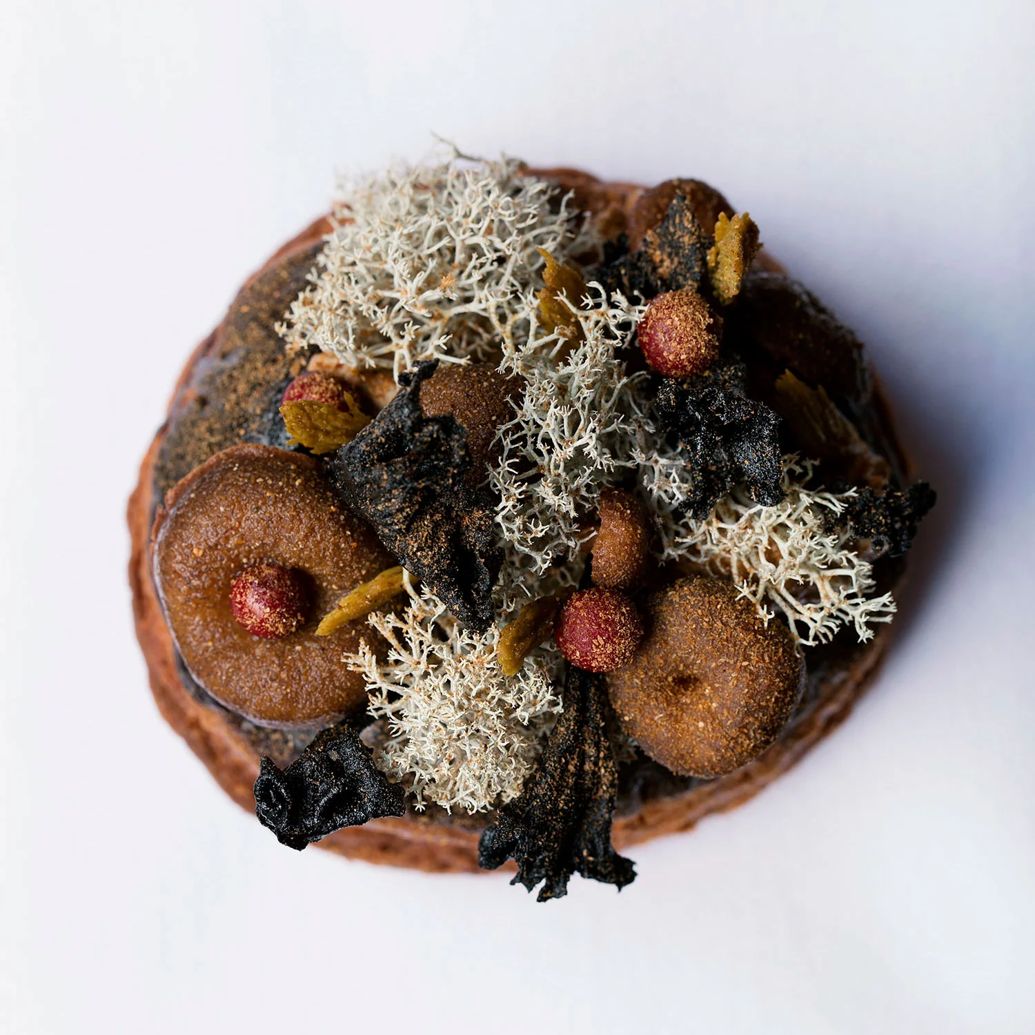 mushroom_close_square_web.jpg