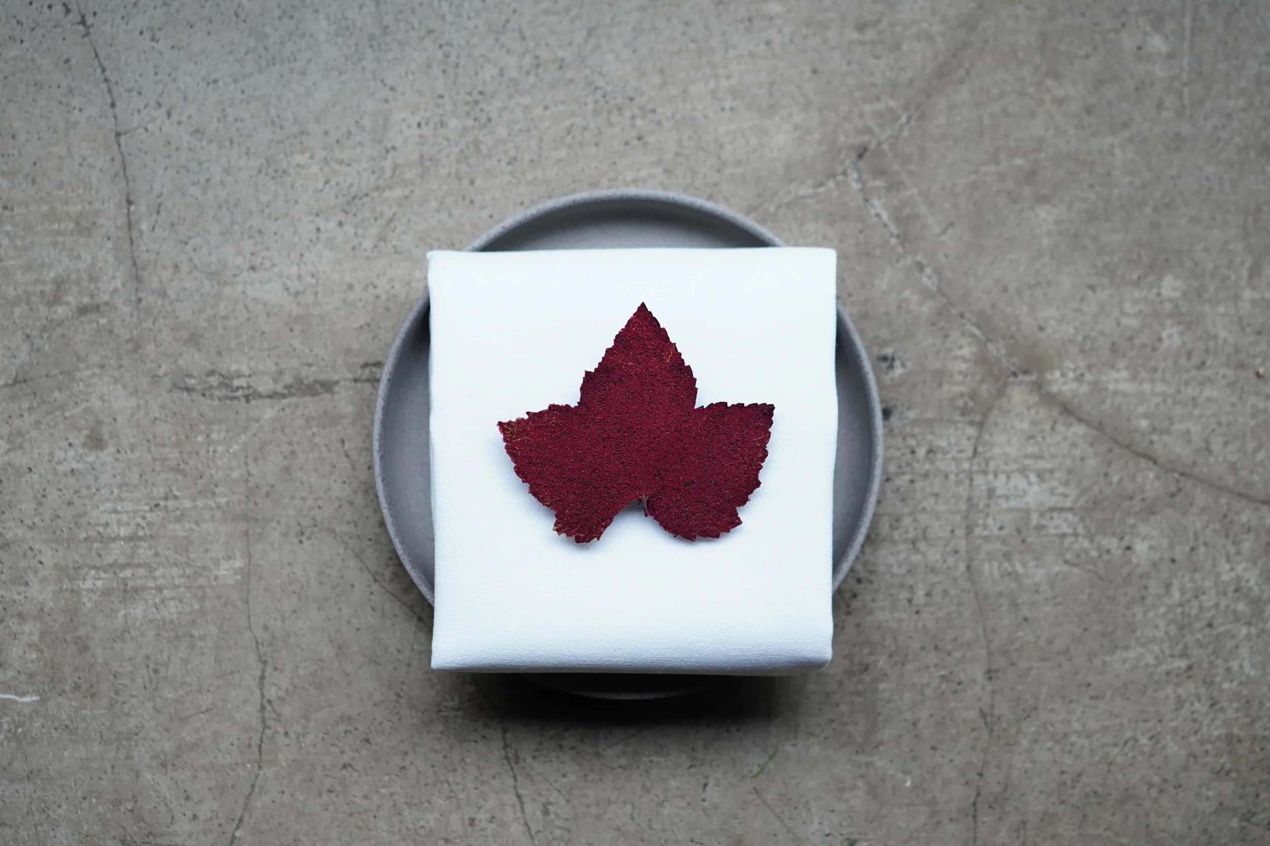 Cow’s milk brie cheese with dried black currant leaves and black currant berries