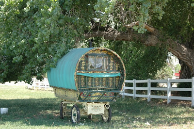 photo credit: Charlie Cox of the Irish Rose Farm