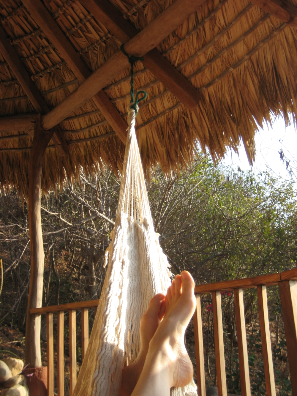 Researching in Mazunte...