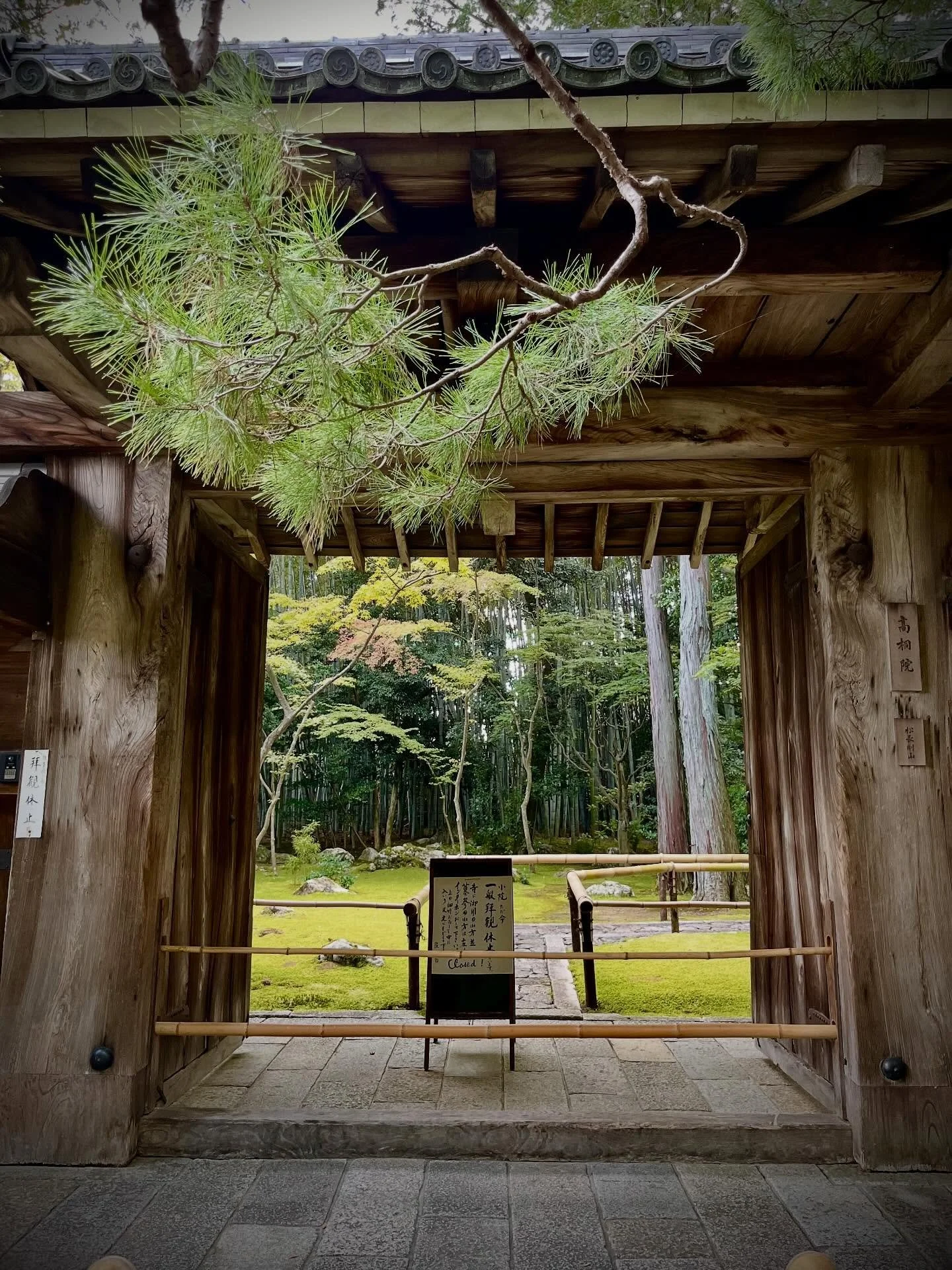 Glimpses of Kyoto! We've been wandering around town, seeing gold-laced temples, peeking through gates hiding secret bamboo forests, having enchanting meals, making new friends (hi, Miha!), enjoying the onsen (hot springs tub) in our room, doing a tea