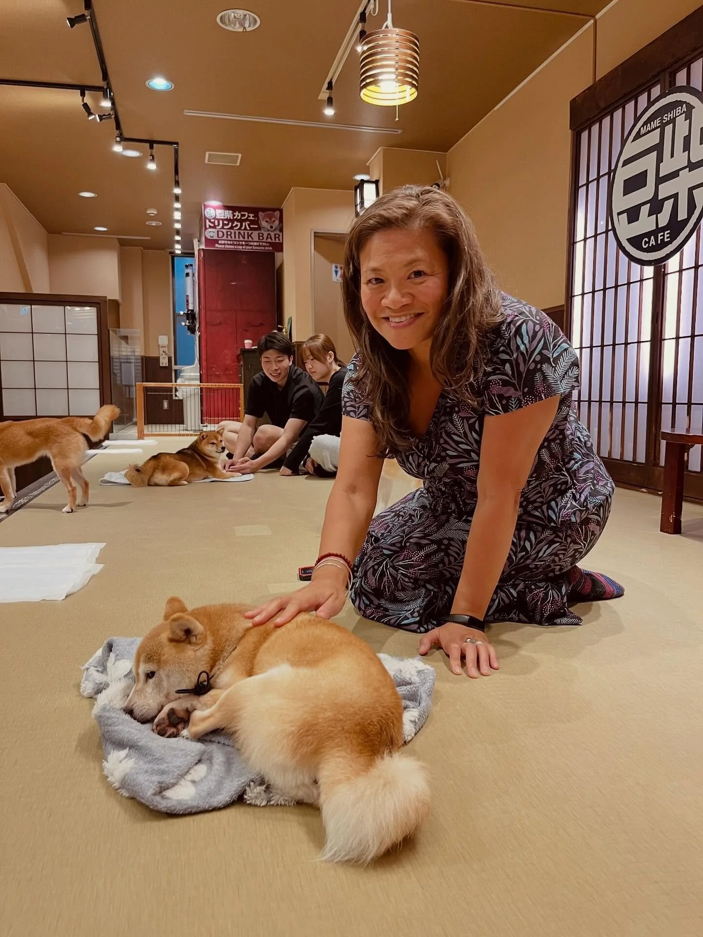 We stumbled across a Shiba Inu cafe in Kyoto... Much cuteness and weirdness ensued! 🥰🐾 (Later, we passed a mini-pig cafe, but we'll save that for next time.) 🐷

Have you ever been to one of these delightful and strange places? (I'd heard of cat ca