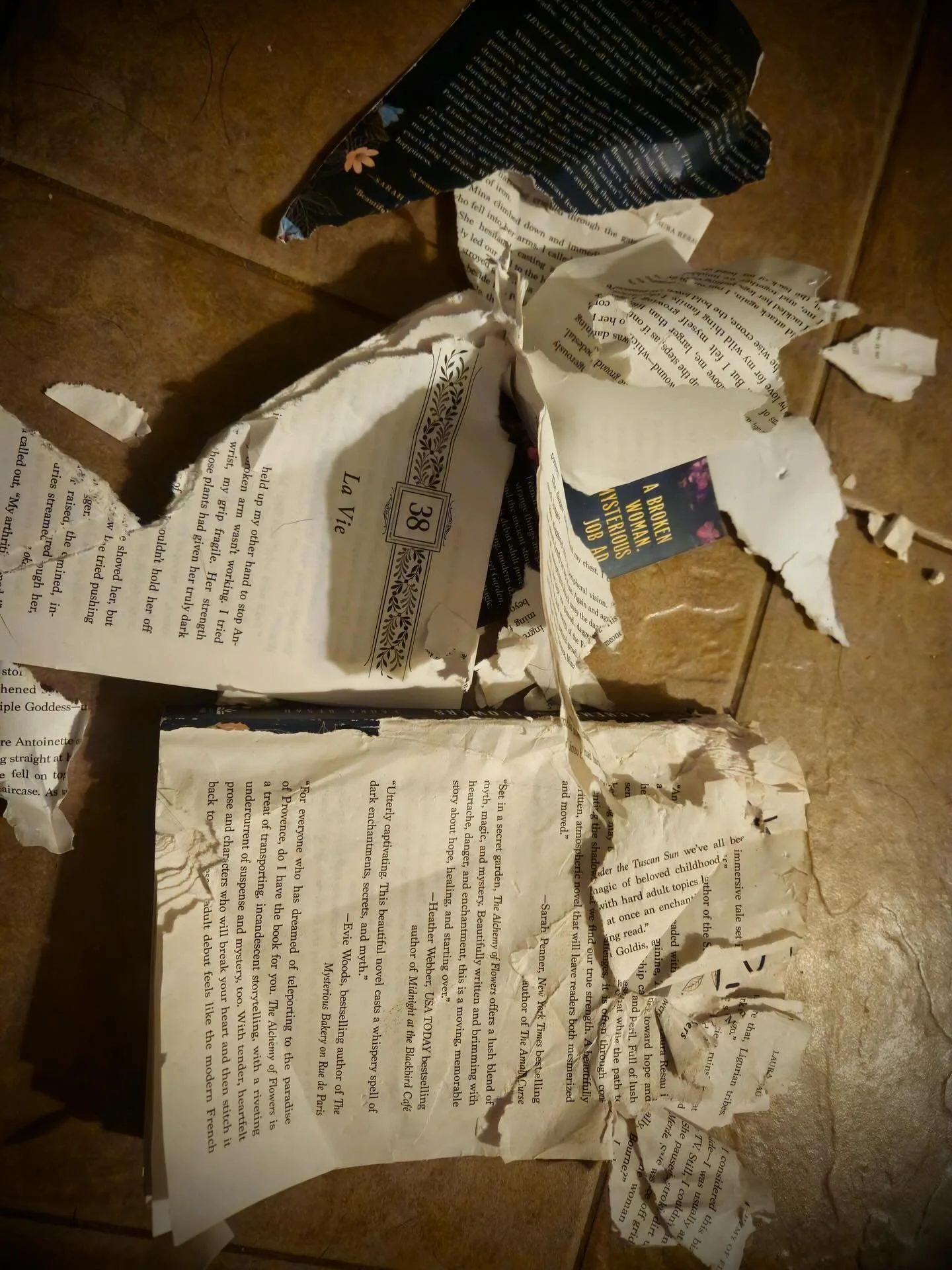 &quot;I literally devoured The Alchemy of Flowers!&quot; -- Riley's dog 🐾&hearts;️🐶

I had the joy of meeting Riley at a library/bookstore events in Frederick&hellip; and more bonding and laughter occurred after her dog ate my book. 😂😭 (I did sen