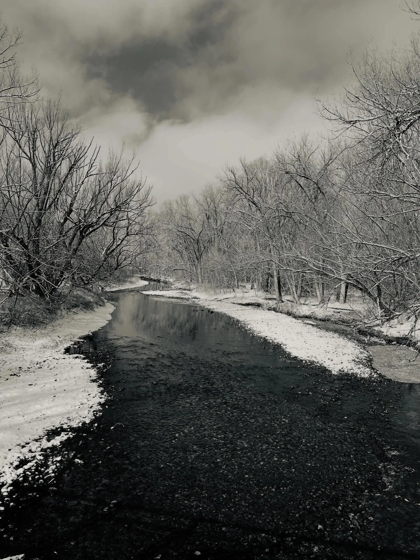 I imagine that you all are feeling as sickened and horrified as I am about the recent murders by ICE, and even more horrified at how the administration is lying and enabling these killers. If you haven't yet contacted your senators and Congressional 