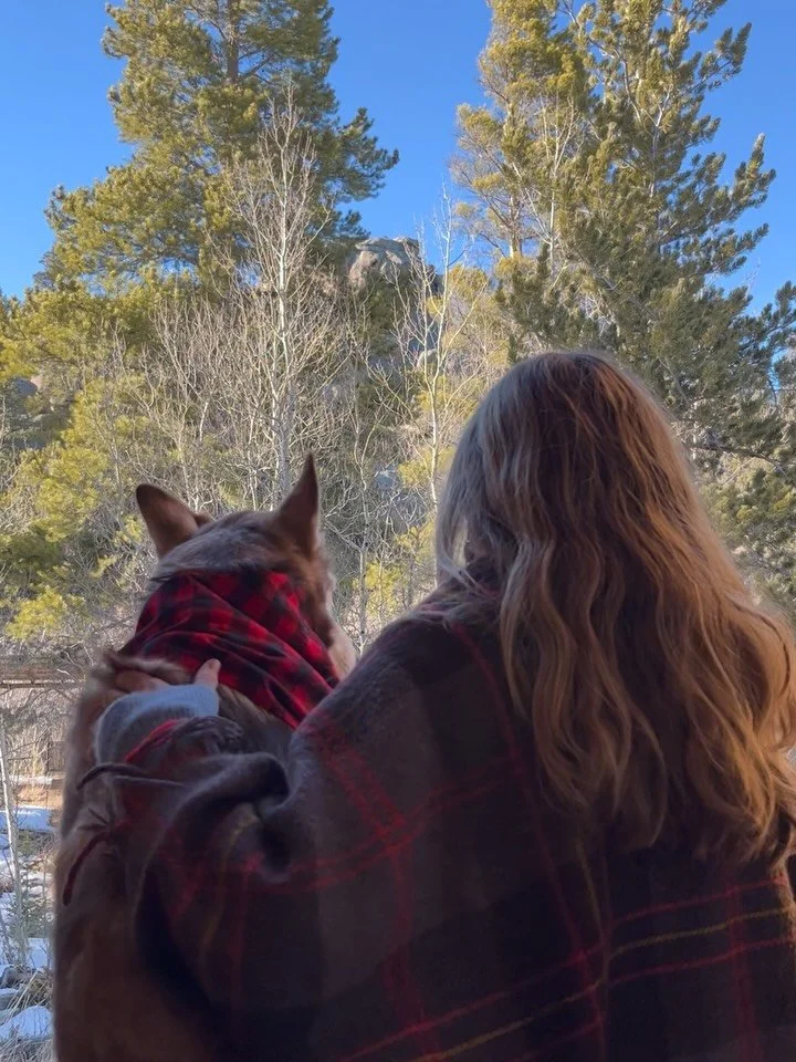 Opal is the fluffiest, cuddliest, most joyful winter mountain dog I could ever ask for. 🐾🏔️❄️

We had a soul-filling weekend up at Beagle Holler... It felt so good to be completely off-grid, no cell or Internet service, just lots of tea and books a