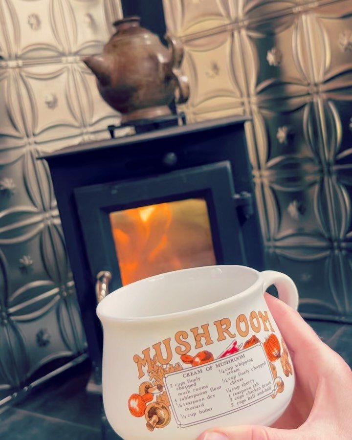 Have a cozy spring weekend, my friends! 🫖&hearts;️

I'll be at the Fort Collins book festival on Saturday morning (4/18) at 9:30 at the Foothills Mall for a presentation about The Alchemy of a Novel... 🗝️📖💫 I hope to see you there!

On Sunday, I'