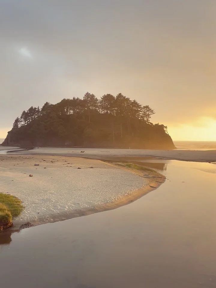 We just got back from a birthday getaway to the Oregon coast&hellip; These are glimpses of Neskowin, so enchanting&hellip; The row of what look like small stones on the beach are actually the ghost forest--petrified tree stumps that you can see at lo