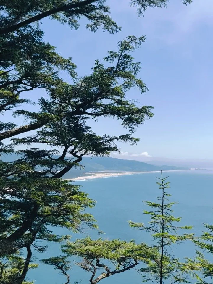 A few more glimpses of our coastal Oregon trip! The first half are bits of our rainforest trail walks, and the second half is the Oceanside Beach, magical with all the rocks and sea stacks. There's a tunnel that leads from one beach to another, so co