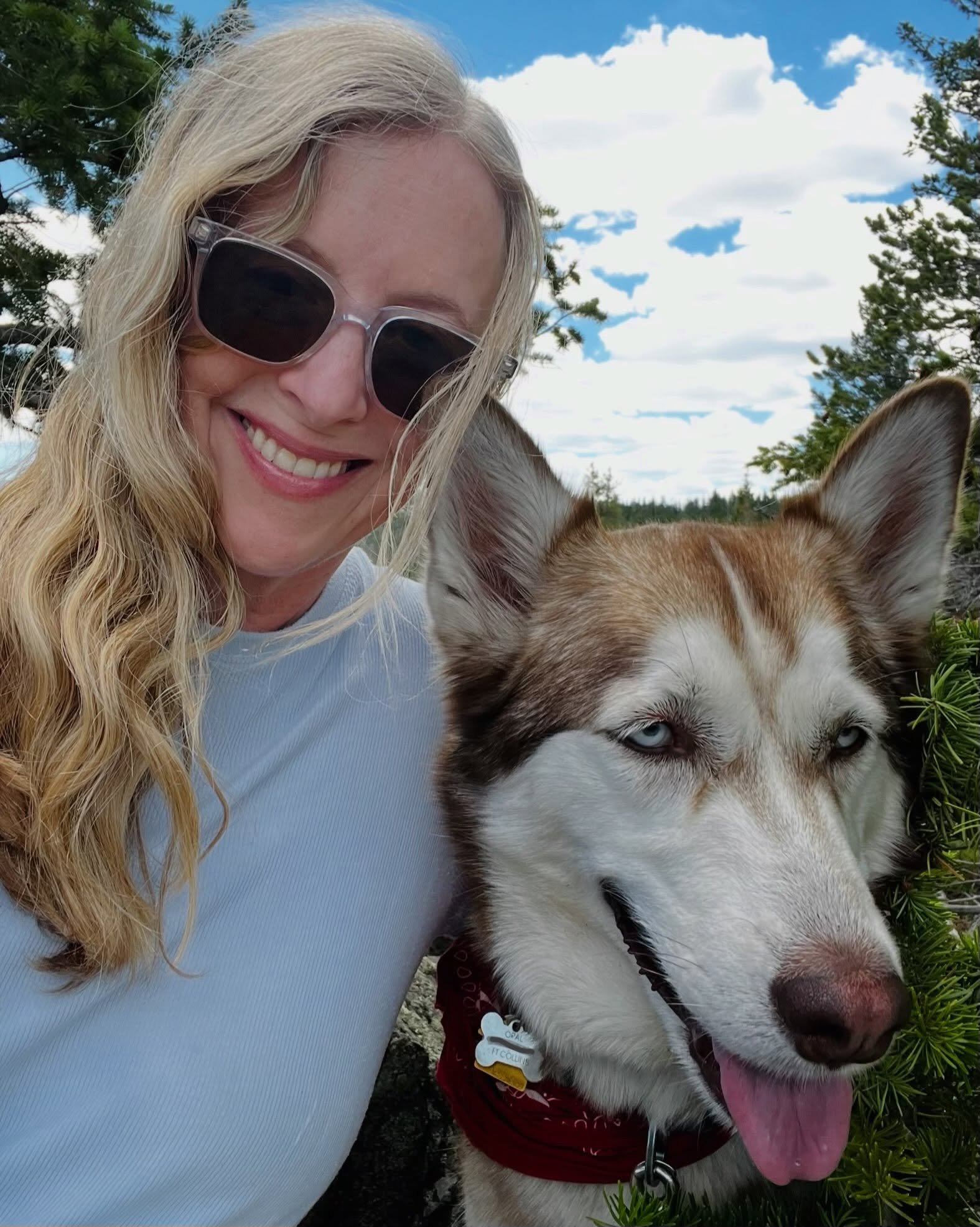 Opal and I wish you a happy weekend&hellip;⛰️🐾🩵 )Swipe to see her fearlessly reigning over her queendom... 🐺👑)

#beagleholler #rockymountains #huskylove