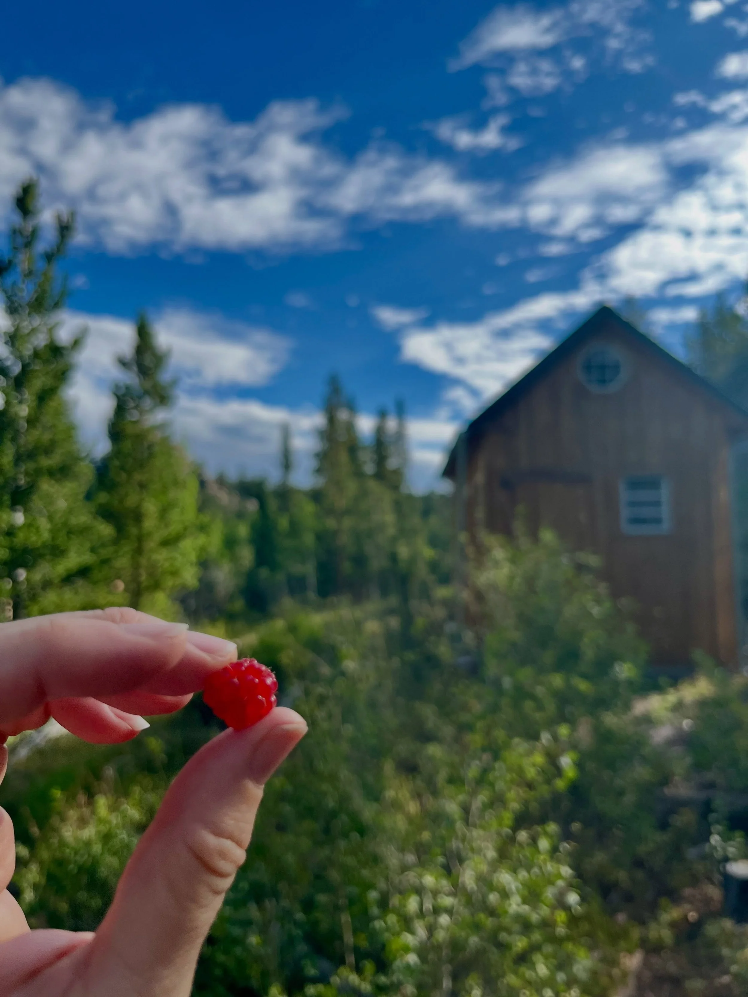 Here's to simple, sweet, wild little joys! &hearts;️ What glimmers have you noticed lately?✨