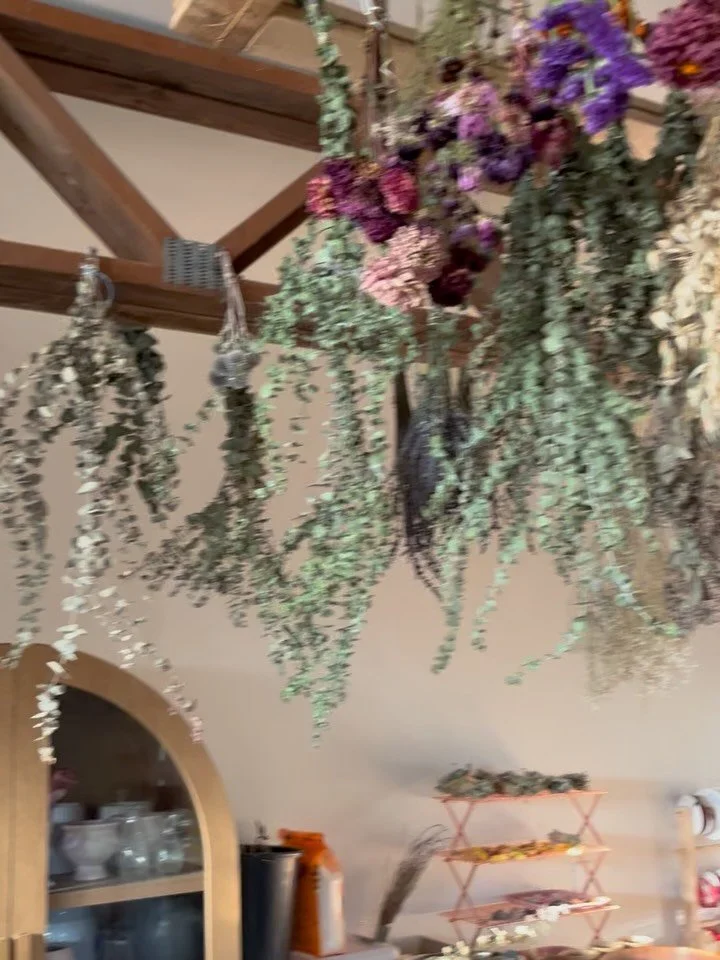 I loved visiting this dreamy apothecary space and flower farm with gentle, friendly sheep, just down the road in Loveland, Colorado!💐

One of the most special things about bringing The Alchemy of Flowers into the world has been the way it's connecte