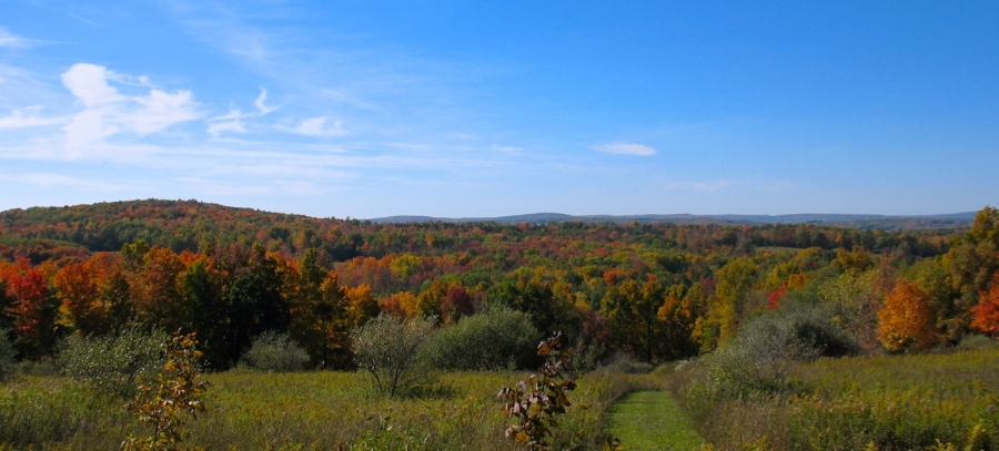 An autumn view from one of our much loved trails