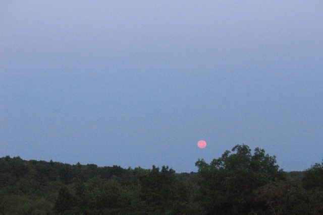 Full moon setting in the early morning