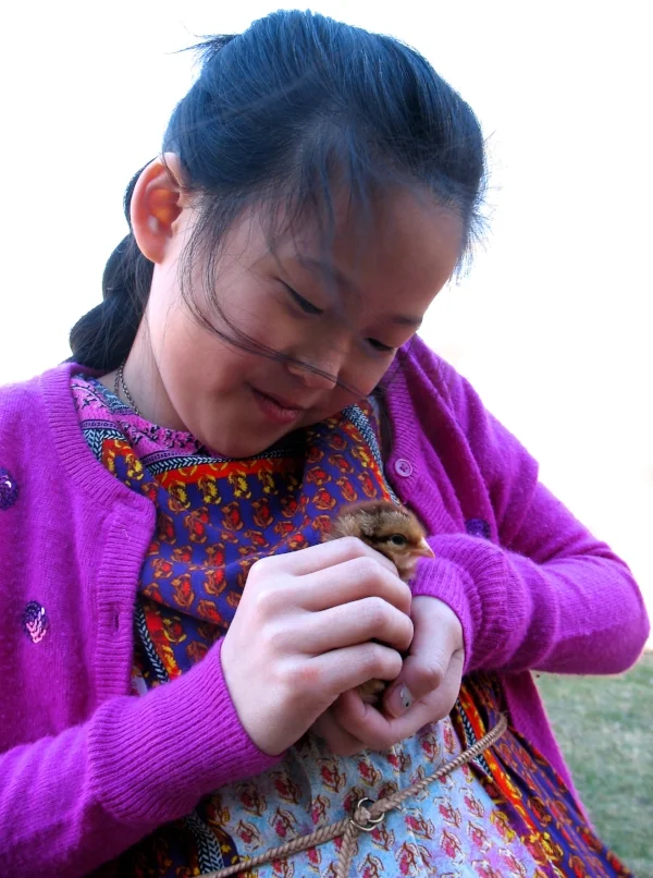 Lily with chick.jpg