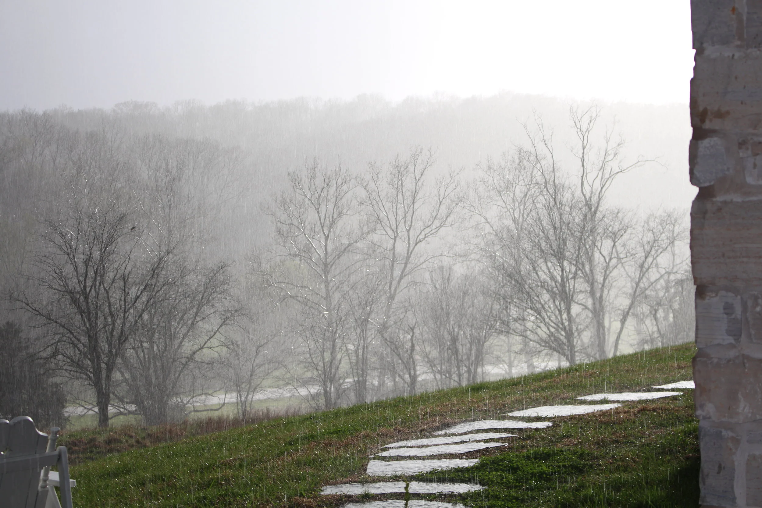 Rain Drops Baring Pain
