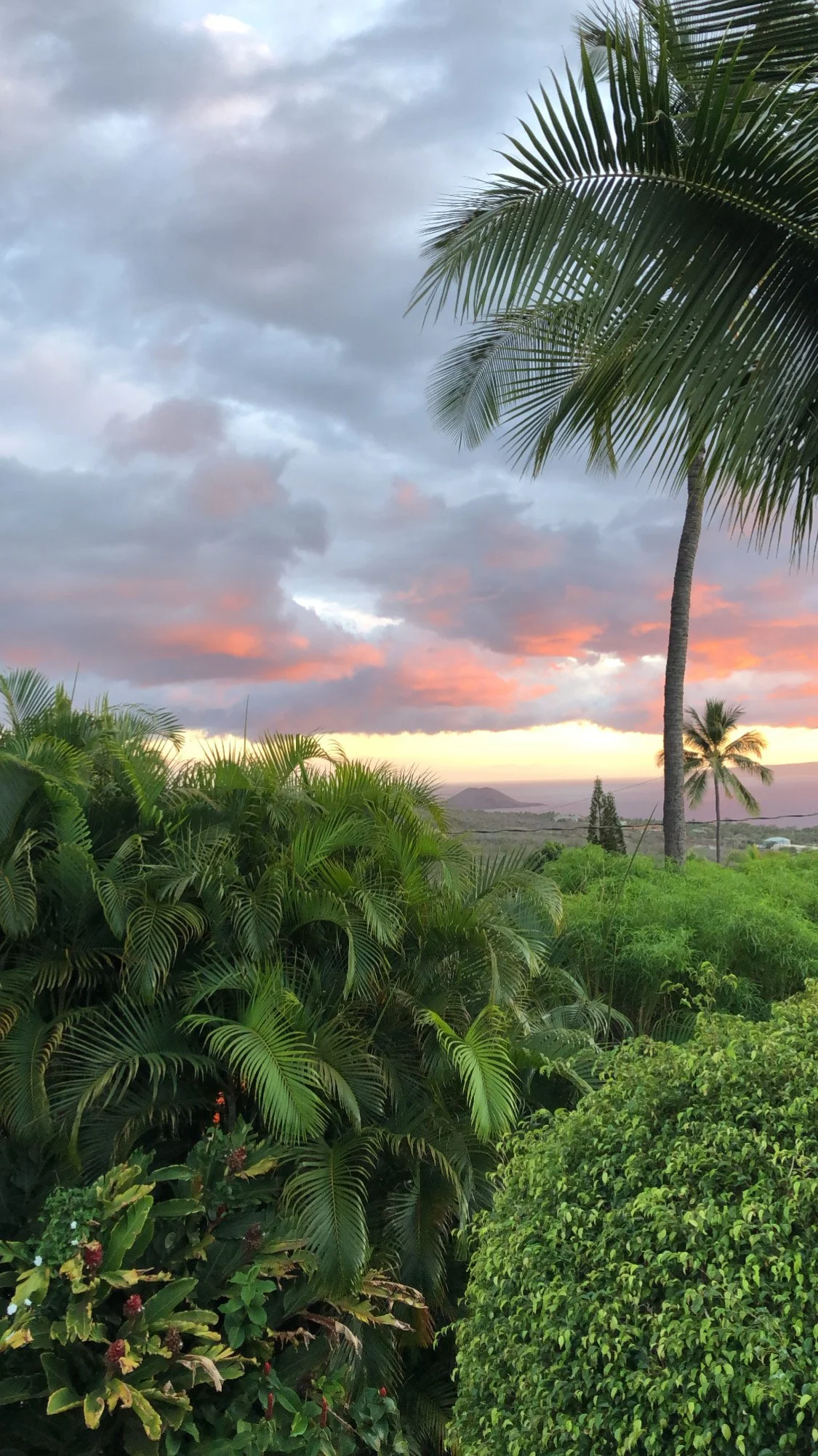 On The Other Side of Mourning