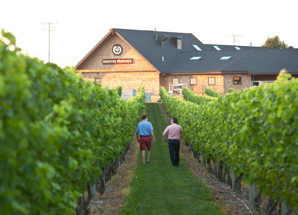 newport vineyards.jpg