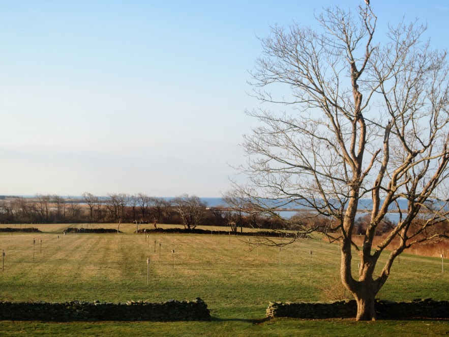 Farmhouse 4-12-14 069.jpg