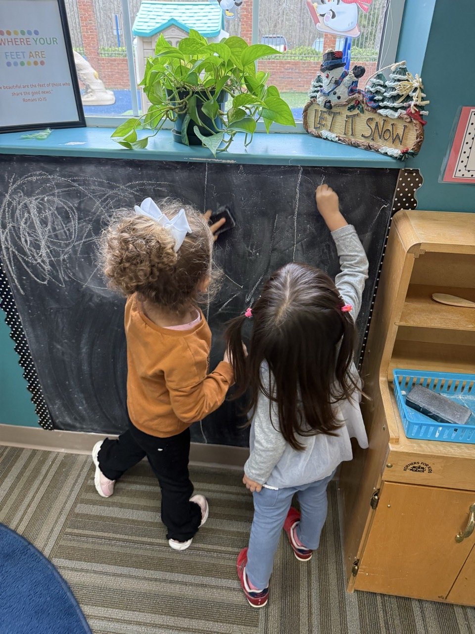 Top Dogs 2025-2026-All photos-74721527159.jpg