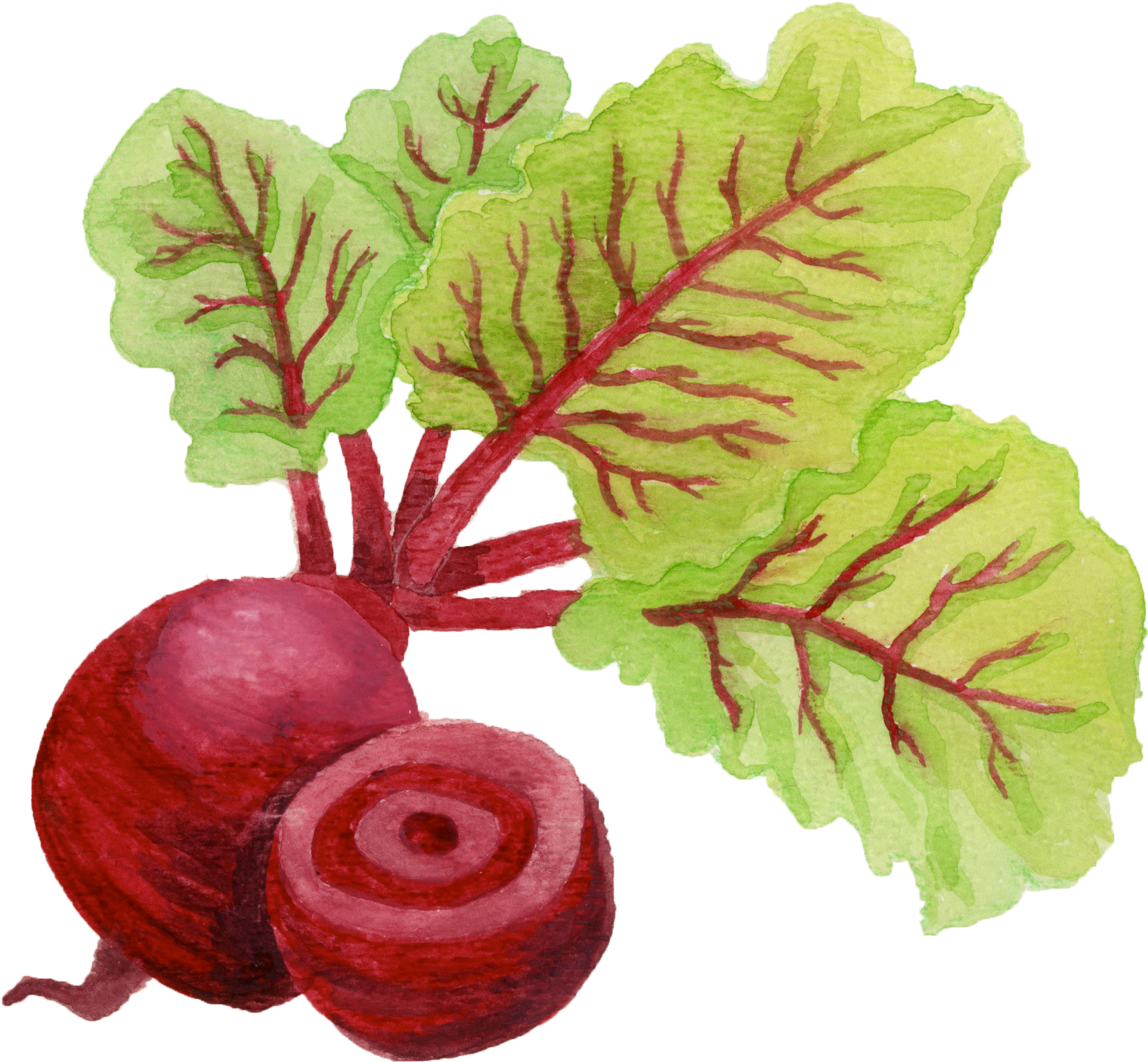 beets.png