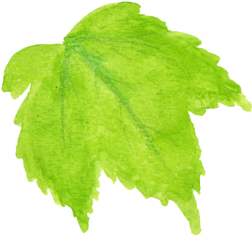 leaf5.png