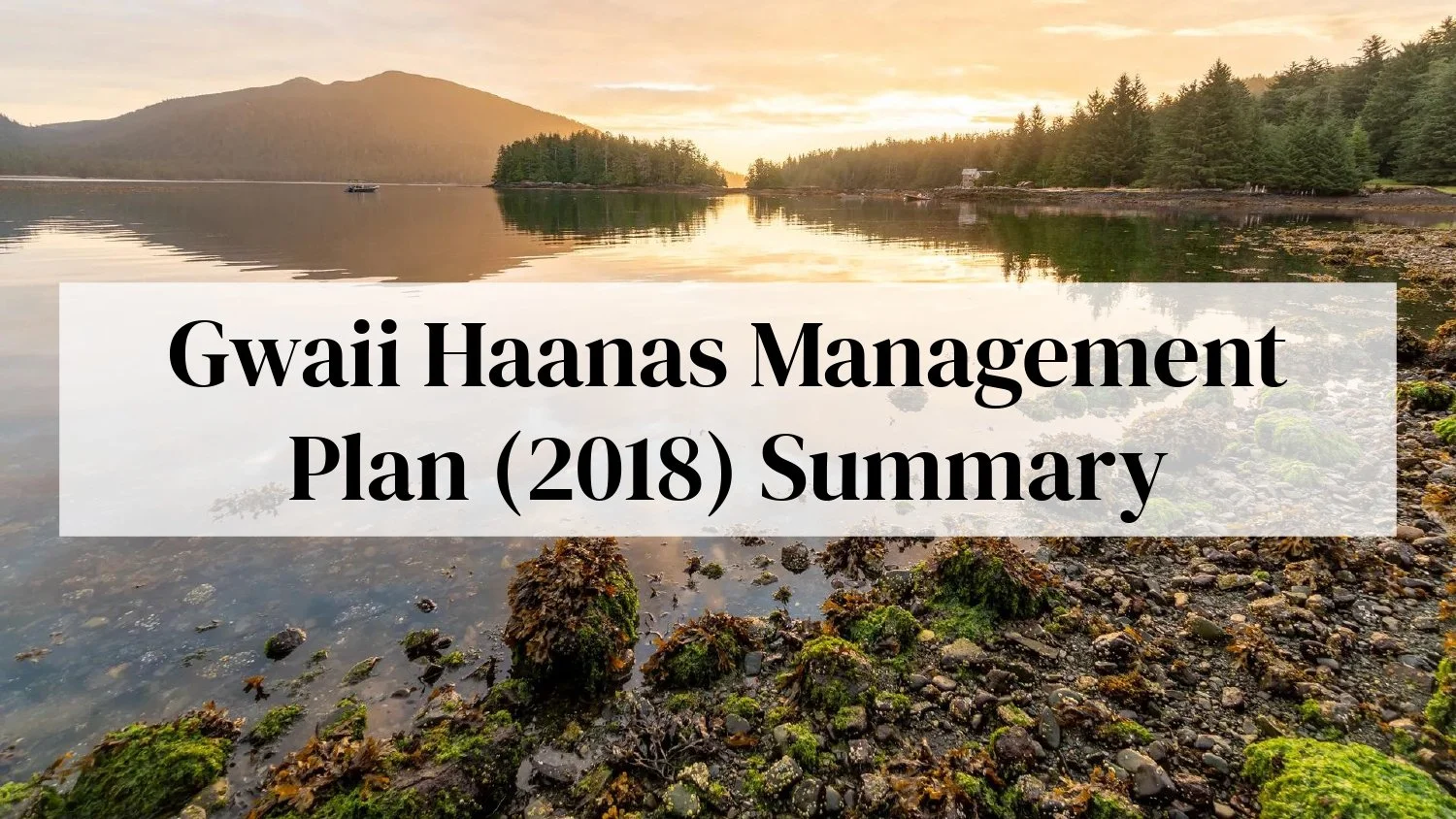 Indigenous Plan_page-0005.jpg